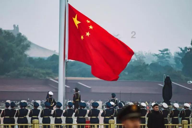 逃离变色龙森林