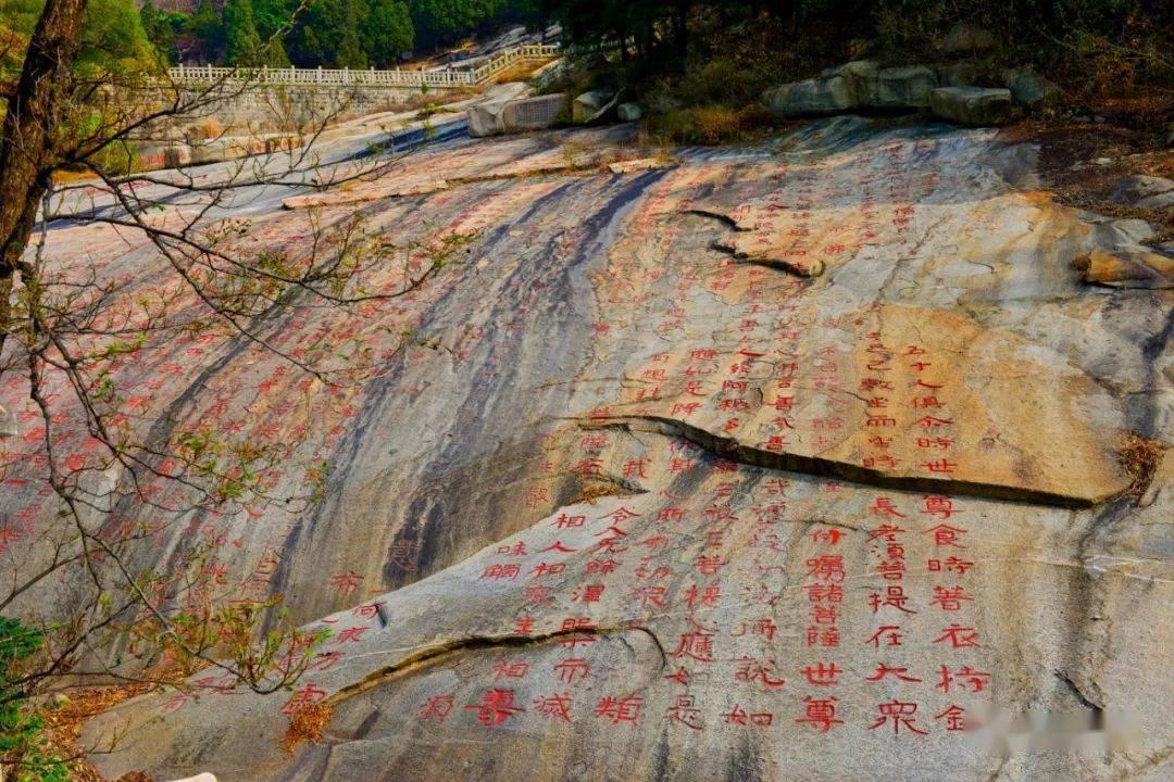 老婆发微信说晚上吃海鲜饭，我午餐都省了没吃，看到饭后我无语了