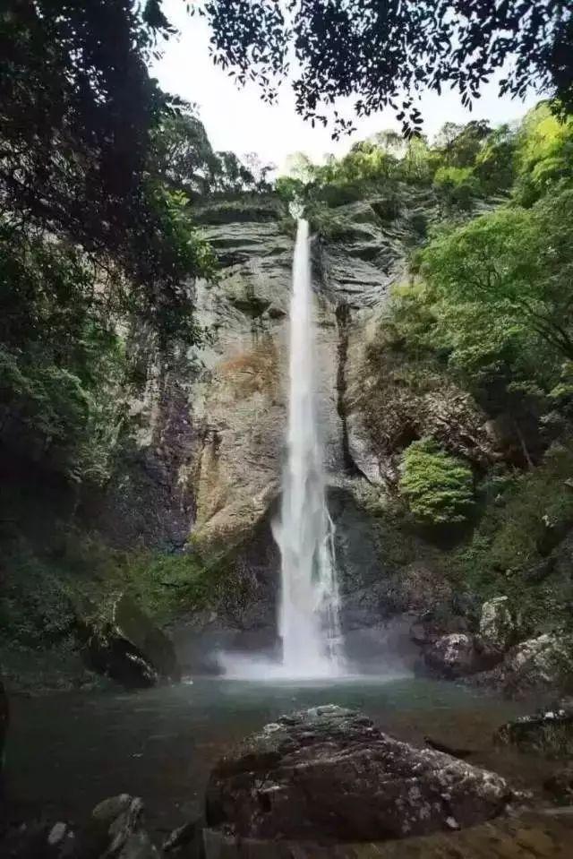 这个春节 天津始“钟”“响”你 扫码阅读手机版